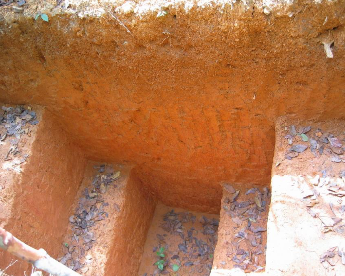picture of African laterite using detectORE™